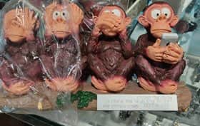 IMG_20220905_154724