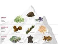 FRA VSA Rock Pyramid