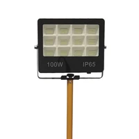תאורת הצפה 100W QUEEN עם חצובה, כבל 2 מטר ותקע.