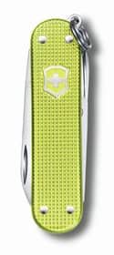 אולר Classic Alox ירוק בהיר VICTORINOX